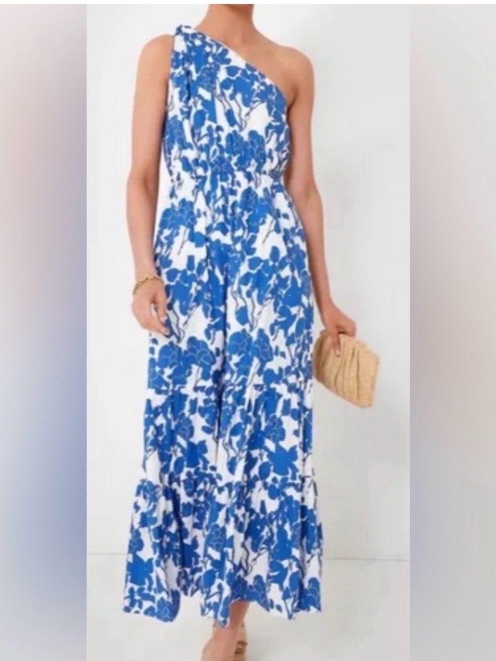 Tuckernuck Hyacinth House Blue Floral One Shoulder Sybil Maxi Dress S